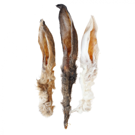 My Friends Orelhas de Coelho 5 un