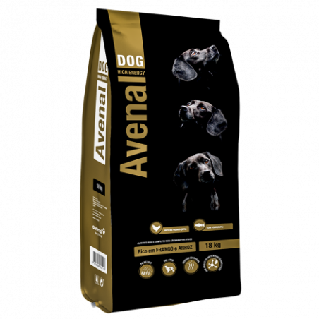 Avenal Cão Alta Energia