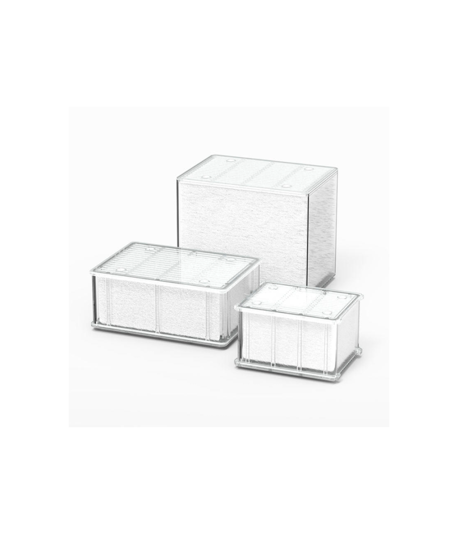 Tecatlantis Recarga EasyBox Fibra Fina