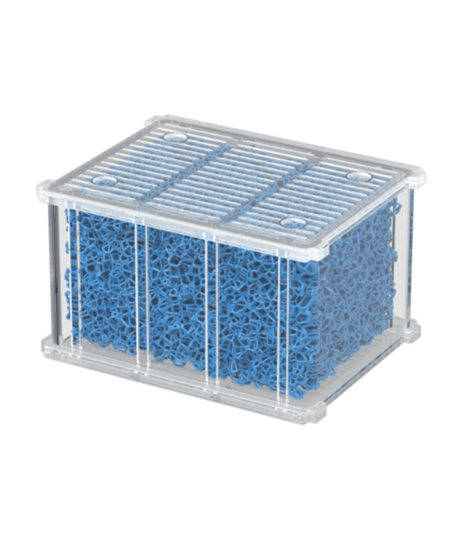 Tecatlantis Recarga EasyBox Esponja Grossa 10PPi XS