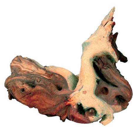 Zolux Mopani - Raiz Natural