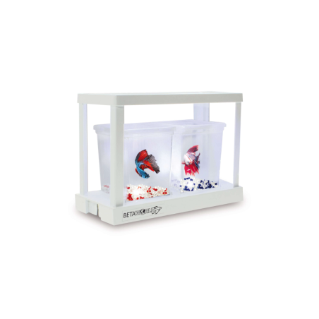 ICA Beteira Betta World Kit de Ampliação