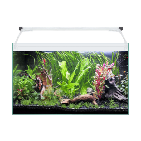 ICA Kit AQUA LIGHT Glass 50 (41 l)