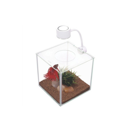 Marina Betta Cubus Kit Beteira 3,4 Lts
