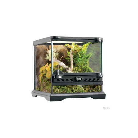 Exo Terra Terrário de Vidro Nano Wide 20x20x20 cm