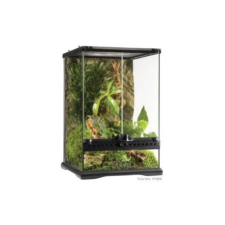 Exo Terra Terrário de Vidro Mini Tall 30x30x45 cm
