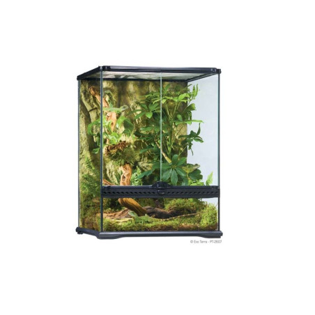 Exo Terra Terrário de Vidro Small Tall 45x45x60 cm