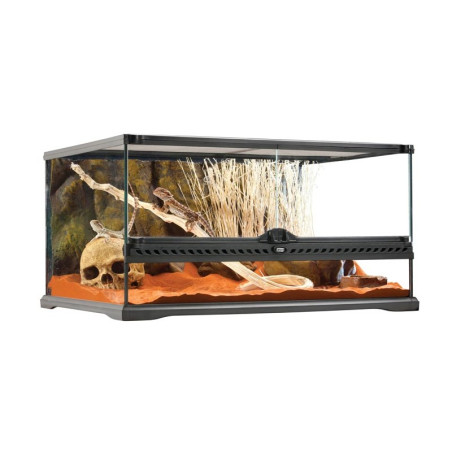 Exo Terra Terrário de Vidro Medium Low 60x45x30 cm