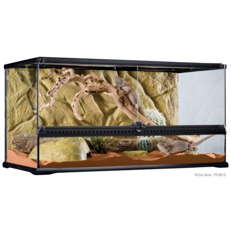 Exo Terra Terrário de Vidro Big Wide 90x45x45 cm