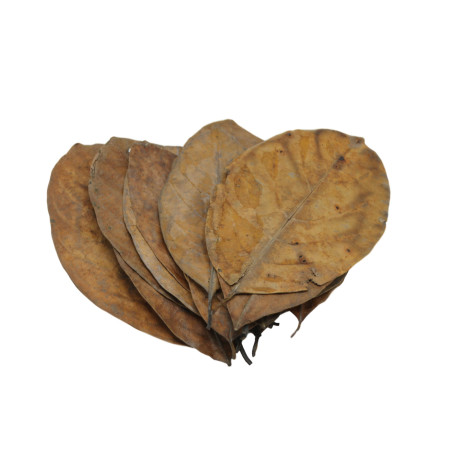 Nature4Pets Folhas de Jaca - Jack Leaves