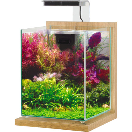 Zolux Kit Aquário Jalaya 2 Carvalho Claro