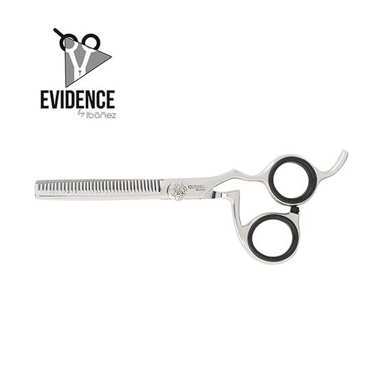 Ibañez Quebec Evidence...