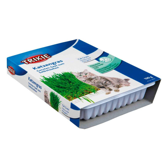 Trixie Erva Gateira com...