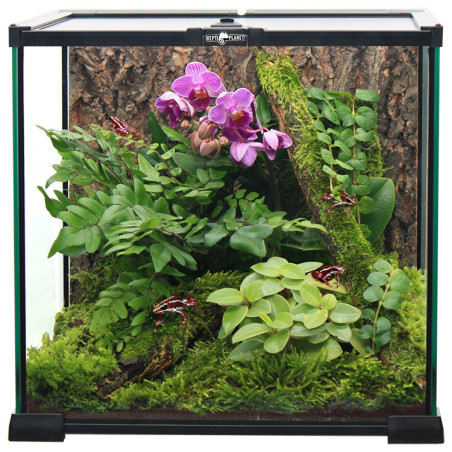 Terrário 20x20x20cm Repti Planet