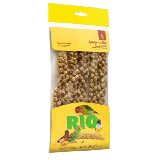 RIO Painço em Cachos - Milheto