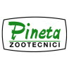 Pineta